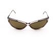 Brown sunglasses on white background