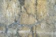 Grunge background: cracked concrete wall