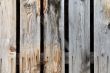 Colorful texture of wooden planks