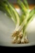 Green Onions on White Palte