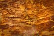 Abstract background #02