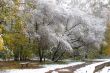 Winter came to town