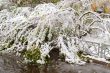 Winter came to town
