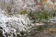 Winter came to town