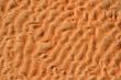 Sand Waves