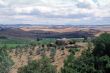 Near Montalcino - Landscape