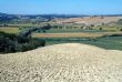 Near Montalcino - Landscape