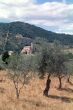 Sant`Antimo (Tuscany)