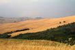 Val d`Orcia - Landscape
