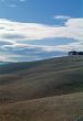 Val d`Orcia (Tuscany) - Landscape