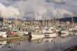Many Masts