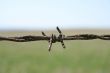 Rusty barbed wire macro