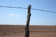 Barbed wire farm fence