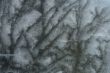 Abstract frosty pattern on ice