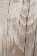 Wavy cracked wood texture