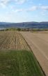 Cultivated farmland in spring