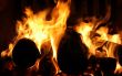 Burning logs in the fireplace