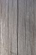 Silver gray wood texture