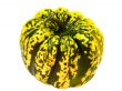 Green Pumpkin
