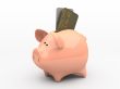 Pink piggy bank on white background