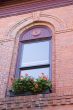 Blue Window and Flowers