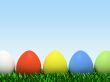 Five colorful eggs in row isolated on white background
