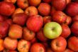 Apples