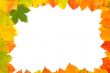 Colorful leaves frame
