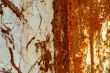 rusty wall
