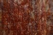 rusty wall