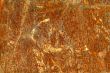 rusty wall