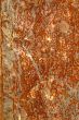 rusty wall