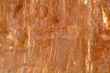 rusty wall