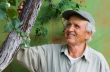 happy senior looking at tree