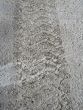 Tire track on a dirt road