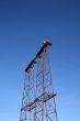 Metallic construction of a double pylon