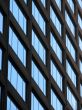 Windows of an office building