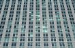 Rows of windows with green reflections