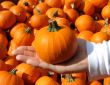 Ready for Halloween