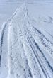 Snowmobile tracks in the snow