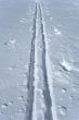Ski tracks in the snow