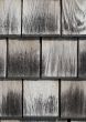 Texture of wooden tiles