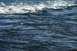 Waves on water