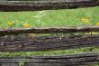 Very old rustic fence
