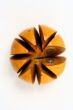 Persimmon isolated in white background