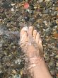 sea feet