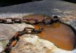 Close up of old rusty metal chain links. Security concept.