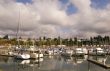 Stormy Marina