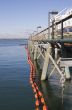 Net Around Pier