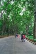 People walking in Gulhane Park, Istanbul